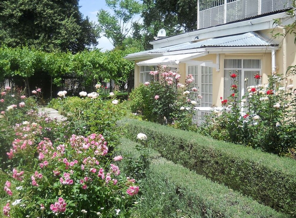 Albert House B&B