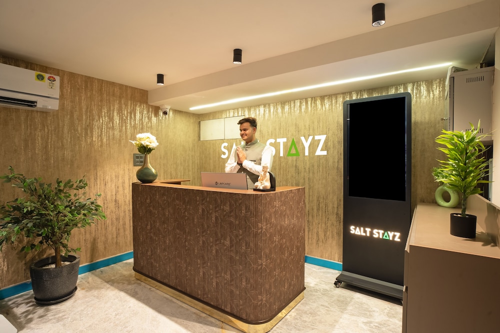 Saltstayz Premier Naraina Central Delhi