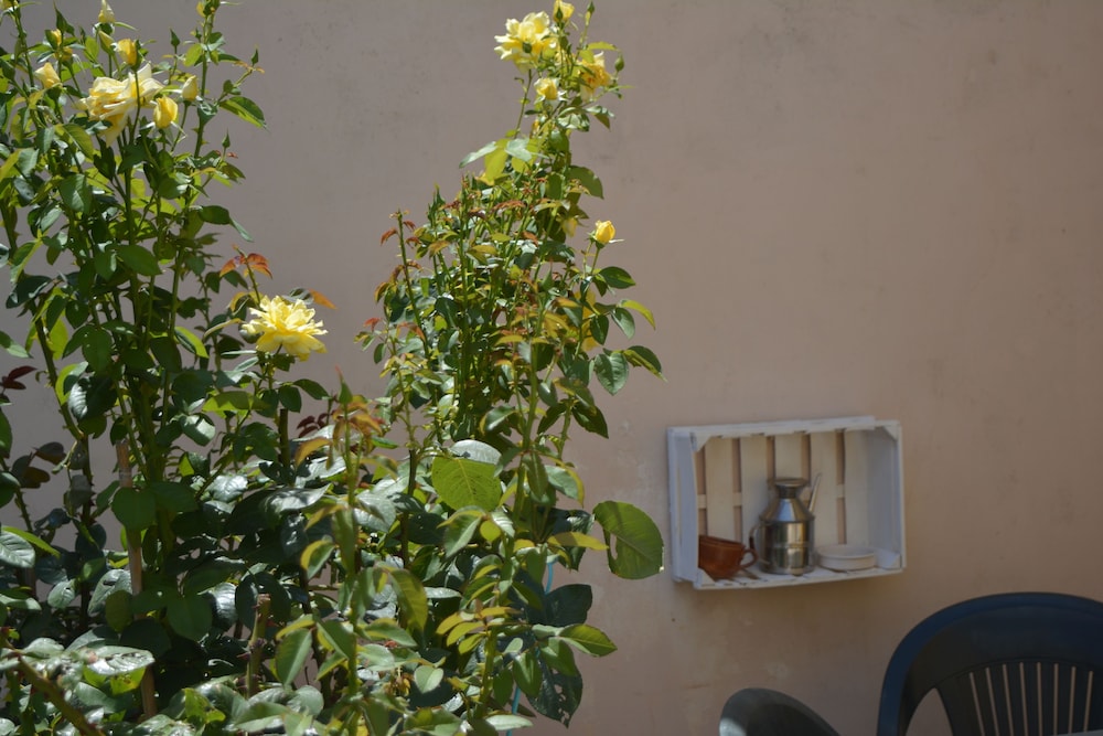 Villa Felice
