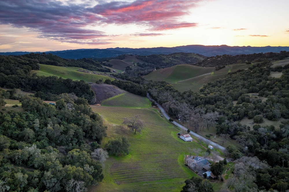 Luxury Wine Country Haven Vineyard Views Near Top Wineries Adelaida Farmhouse