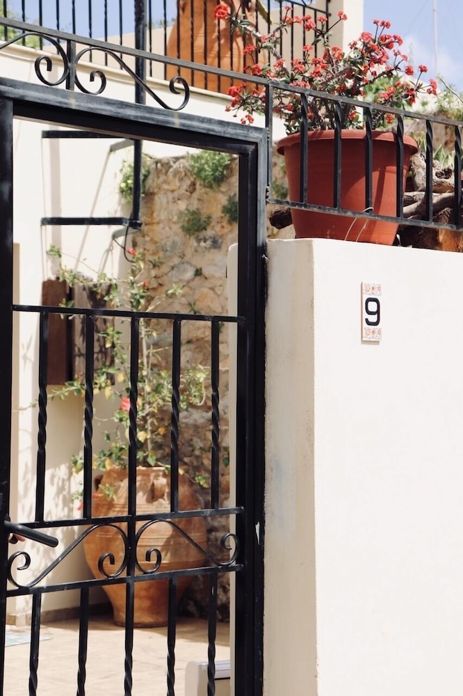 Photo 19