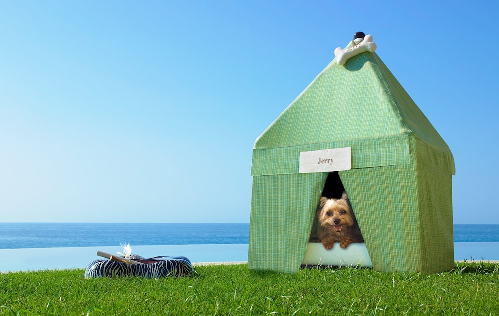 Los Cabos Vacations - Las Ventanas al Paraiso, A Rosewood Resort - Property Image 4