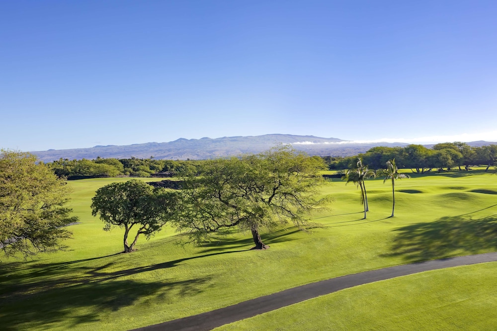 Fairmont Orchid - Property Image 197