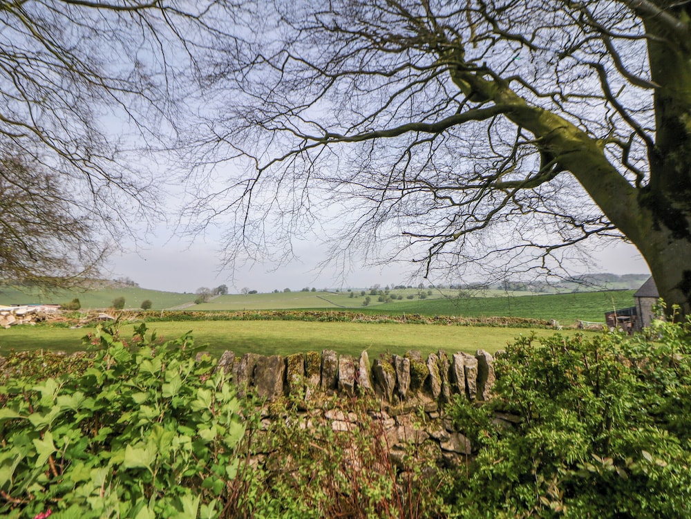 The Beeches