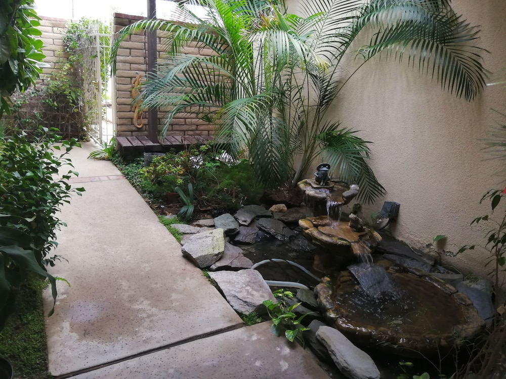Photo 46