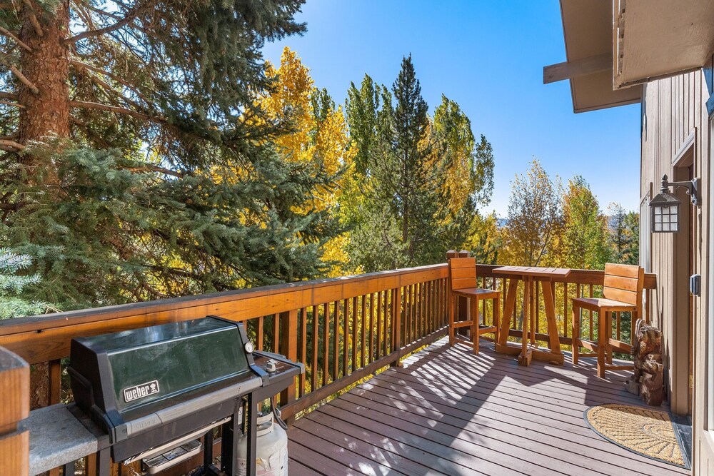 Steamboat Springs CO Condos