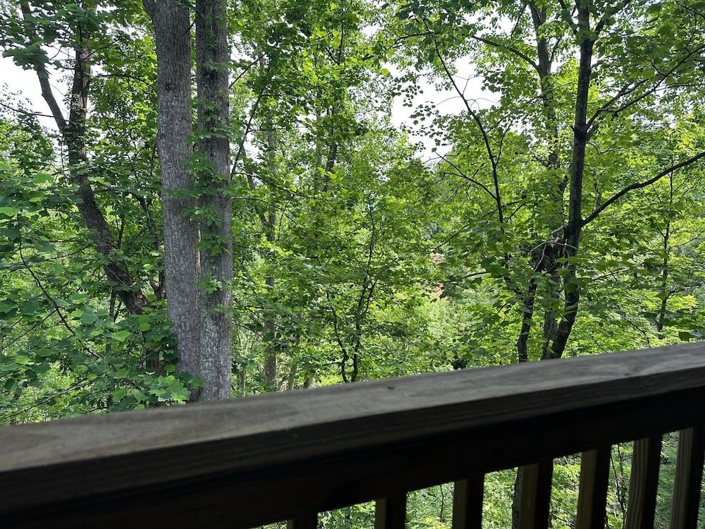 Chillin N Grillin 2 Bedroom Cabin
