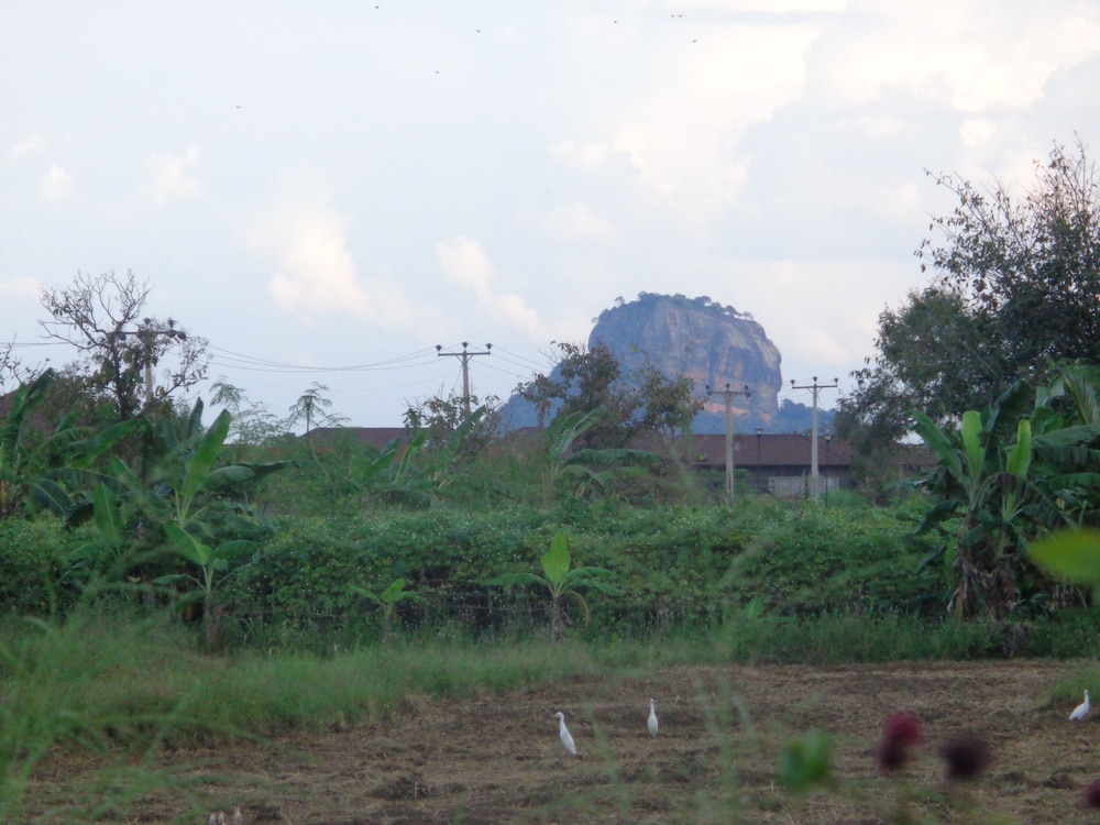 Sigiriya vista