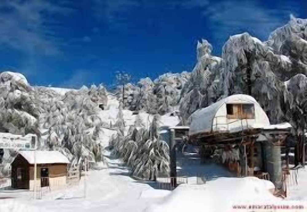 Gazania B&B