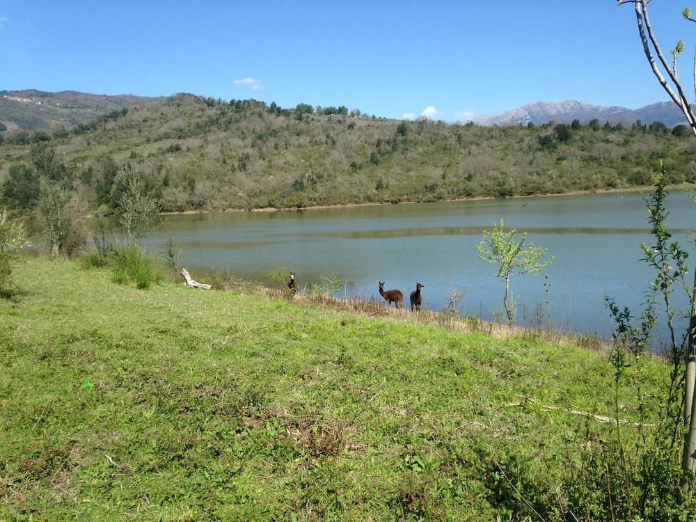 Green House Fiume Alento
