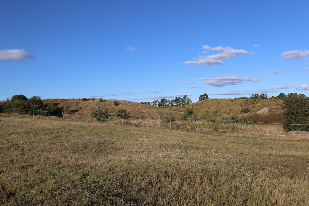 Photo 44