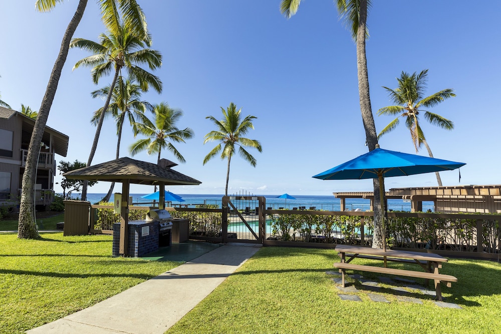 Konaloa Unimpeded Views of the Ocean