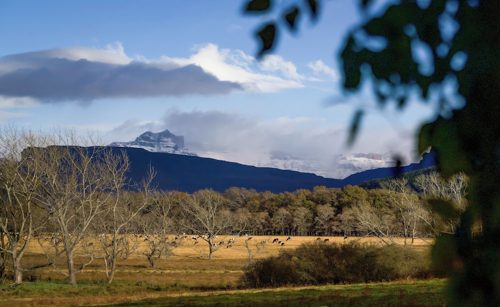 Molweni Kamberg Valley Bed and Breakfast