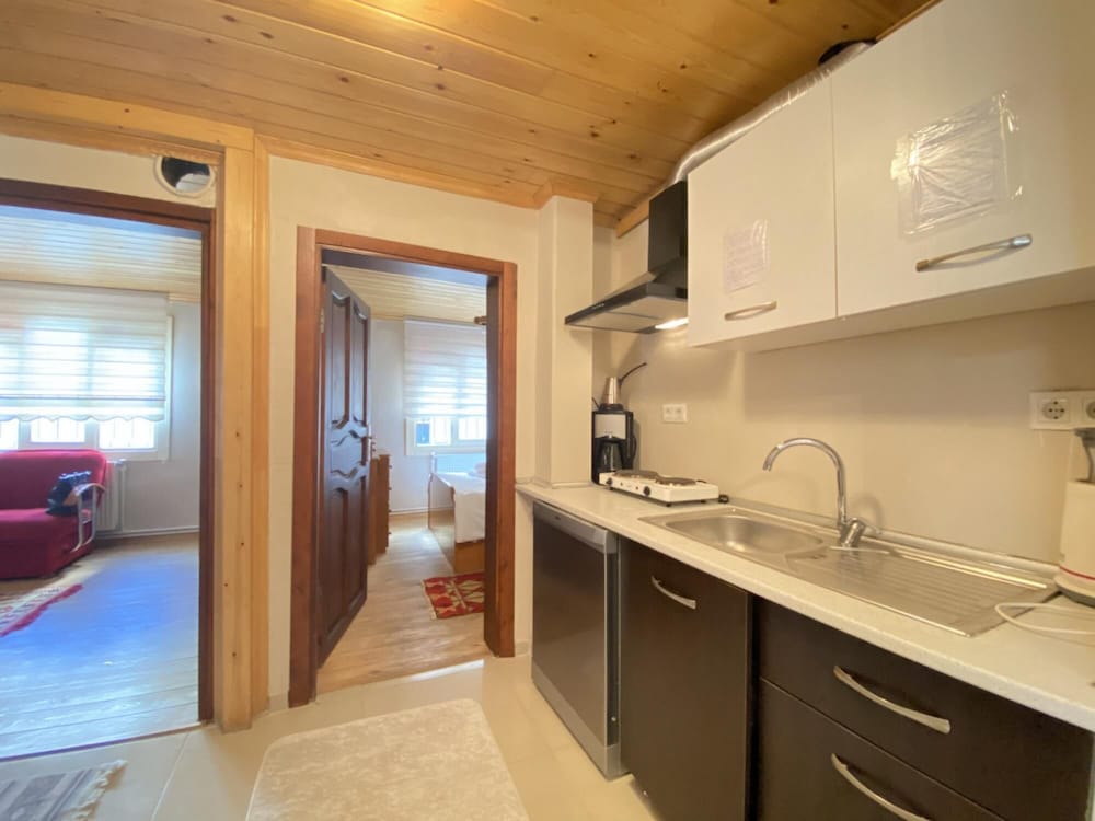Historical Duplex Villa With Patio in Beyoglu
