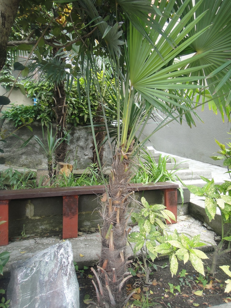 Guest House MishLen