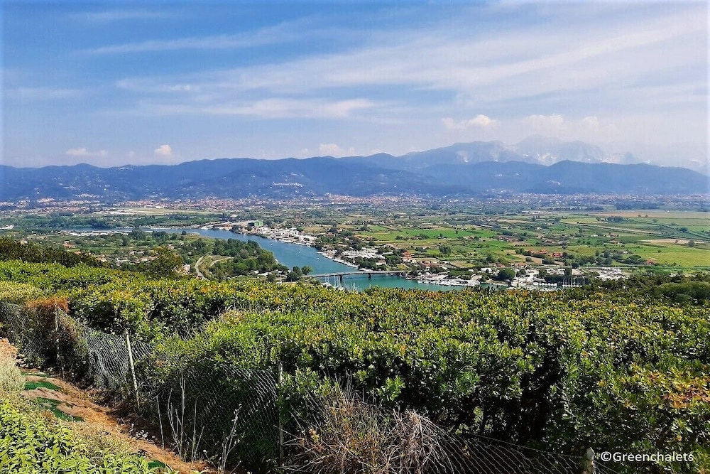 Greenchalets Ameglia - Campsite view 5