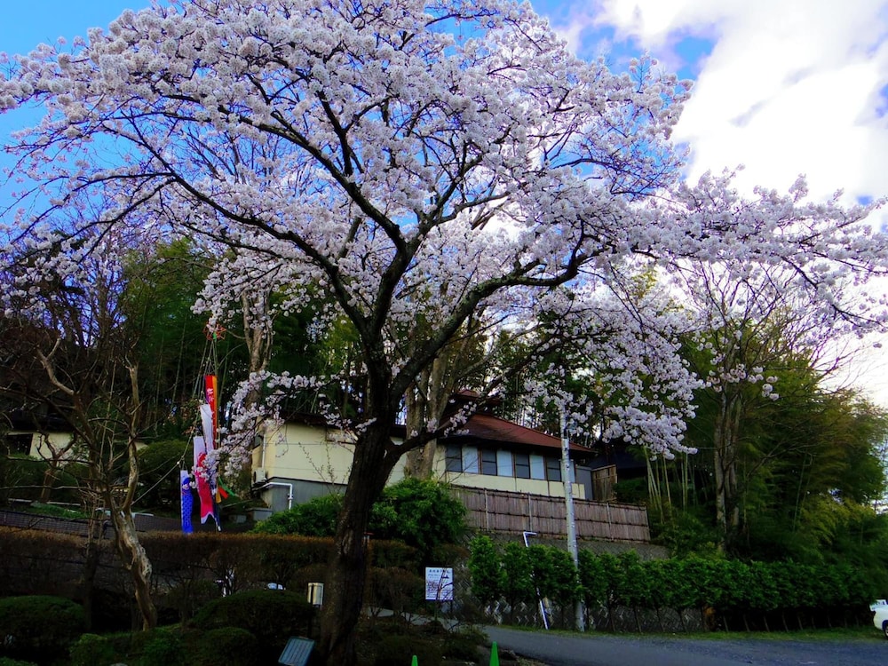 Hiraizumi Hotel Musashibou