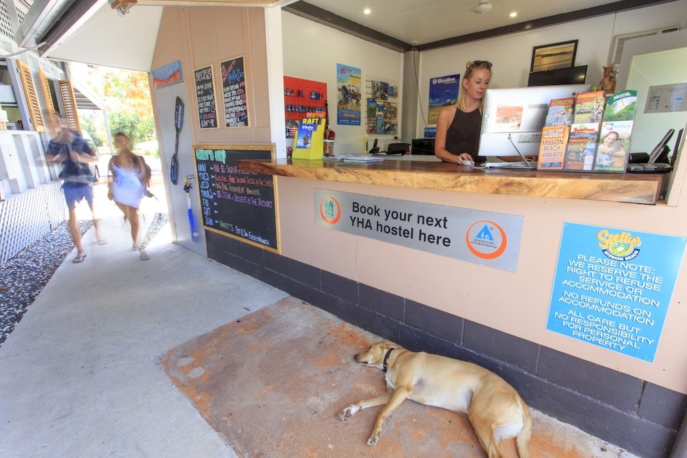 Scottys Mission beach YHA - Hostel