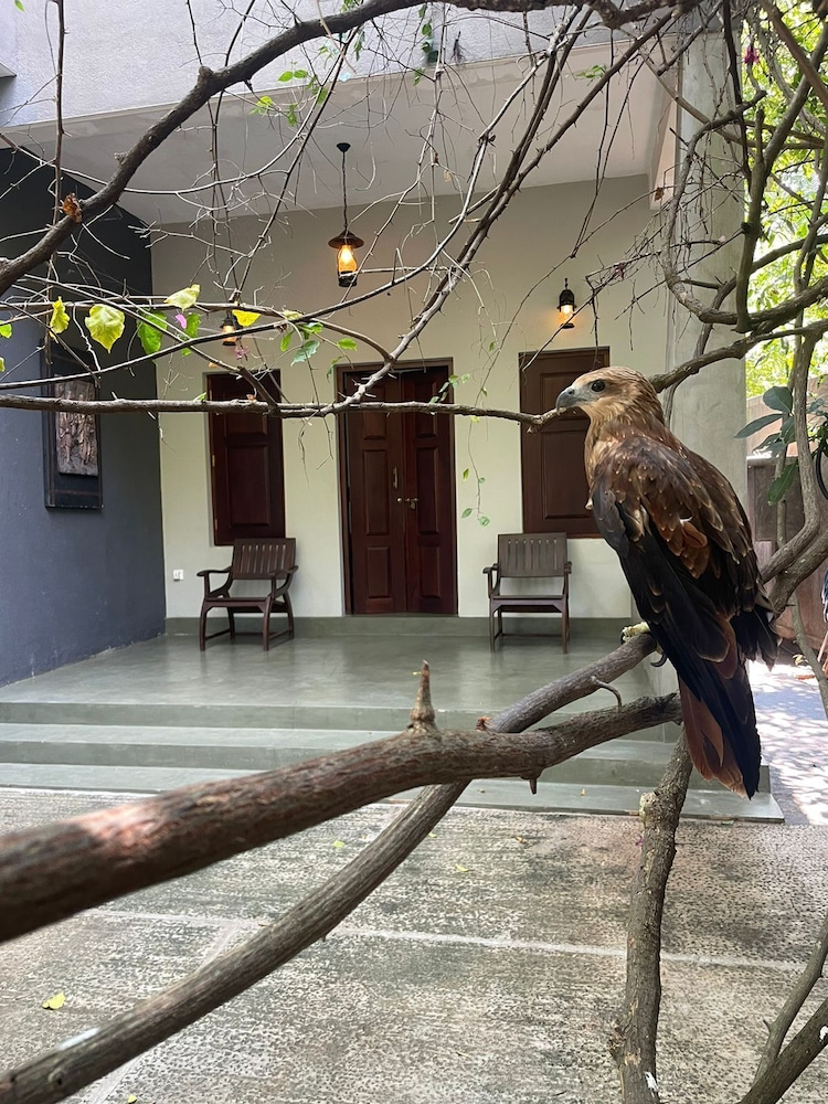 Villa Tambaka Retreat