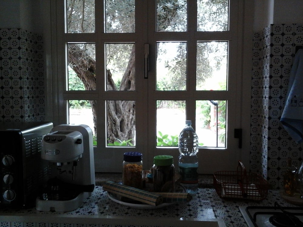 Photo 47
