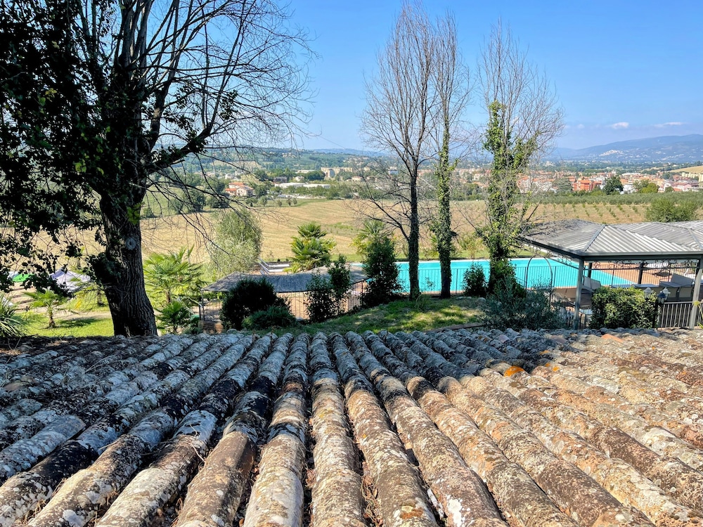 roof
