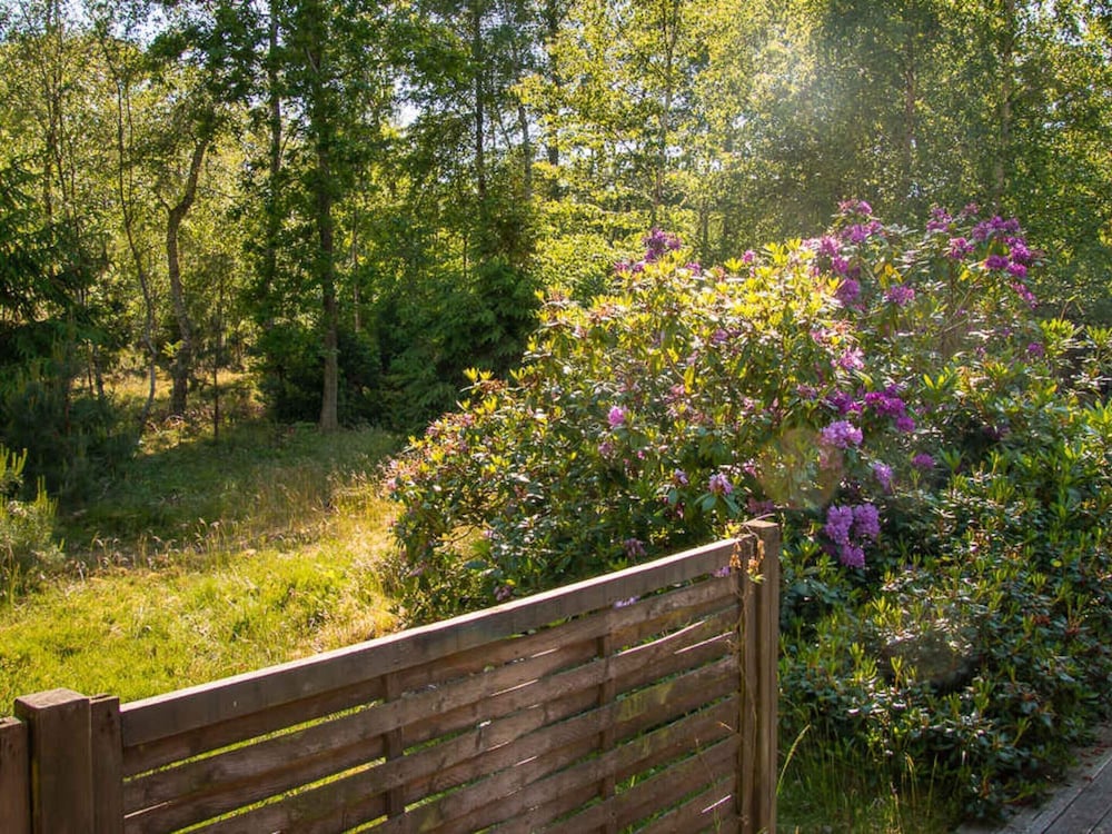 5 Star Holiday Home in Store Fuglede
