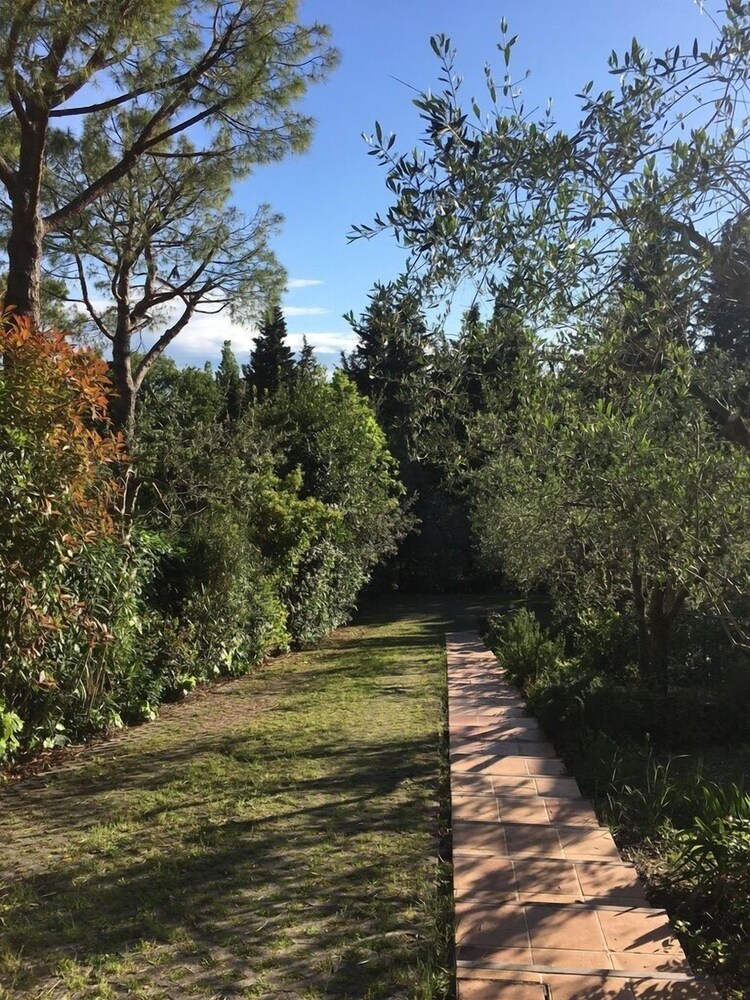 Photo 33