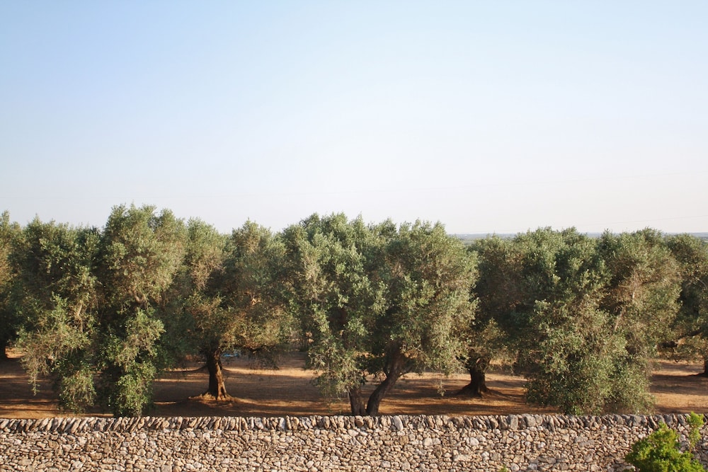 Antica Masseria Torre Mozza