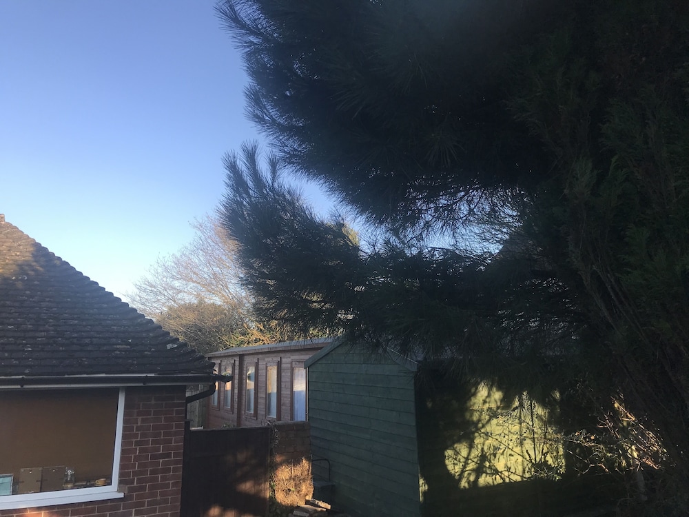 Photo 18