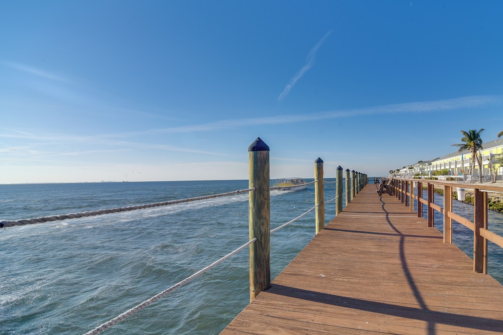 Bayfront St Petersburg Retreat 4 Mi to Downtown!