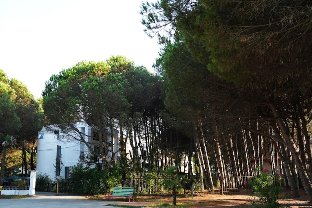 The Beachfront Villa