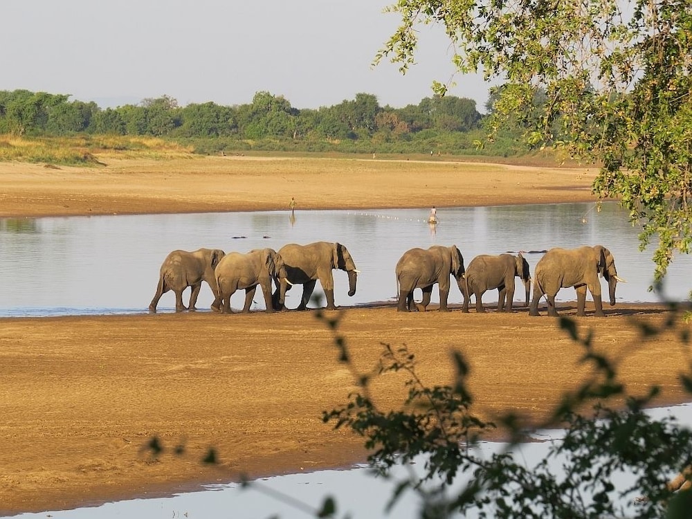 Croc Valley Camp