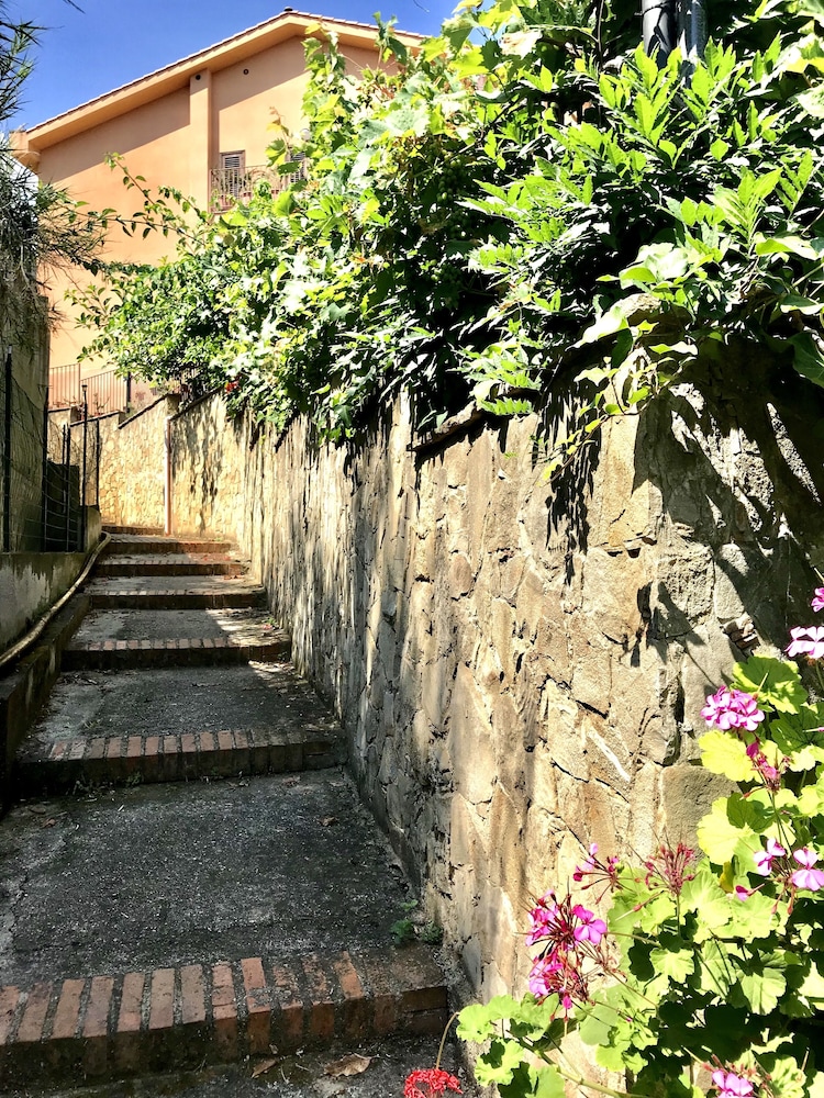 Photo 36