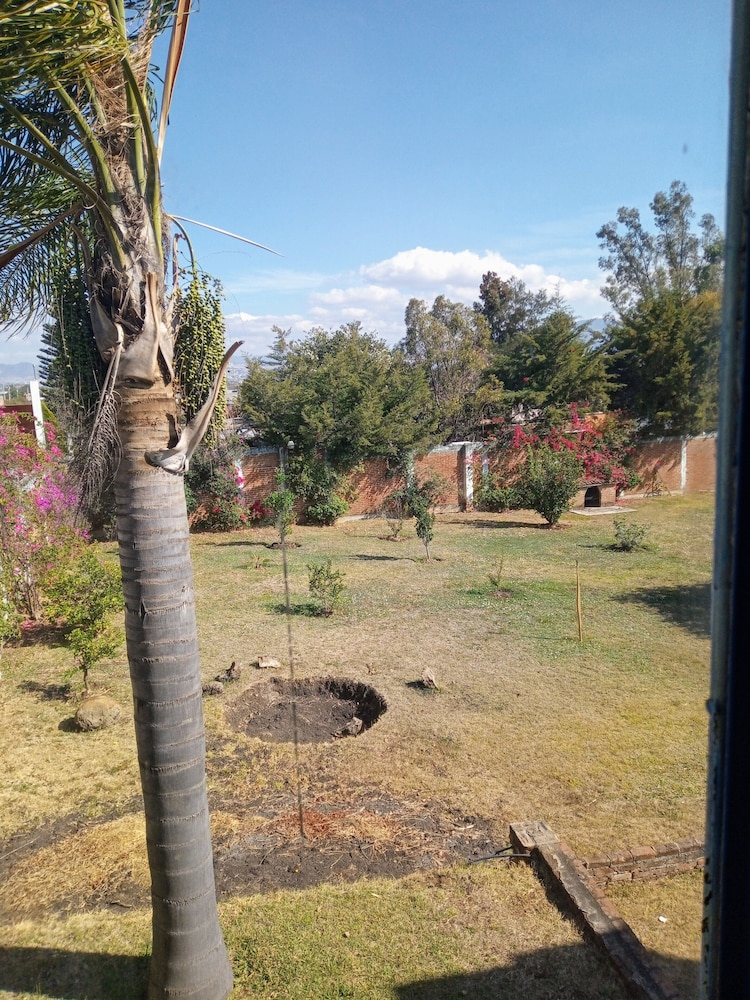 Photo 25