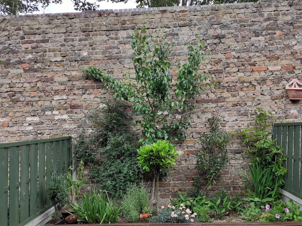 East London Apartmentsleeps2-garden-transportlinks