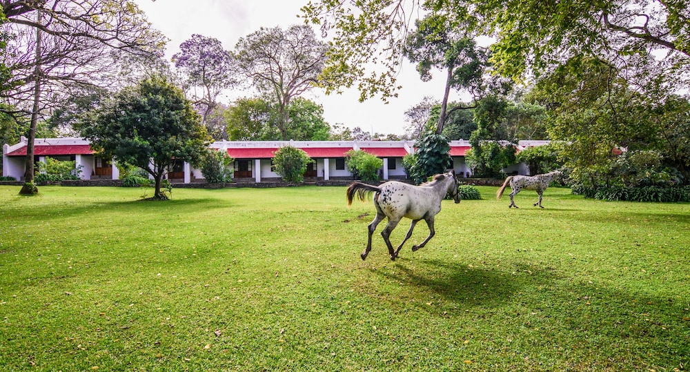Ngare Sero Mountain Lodge