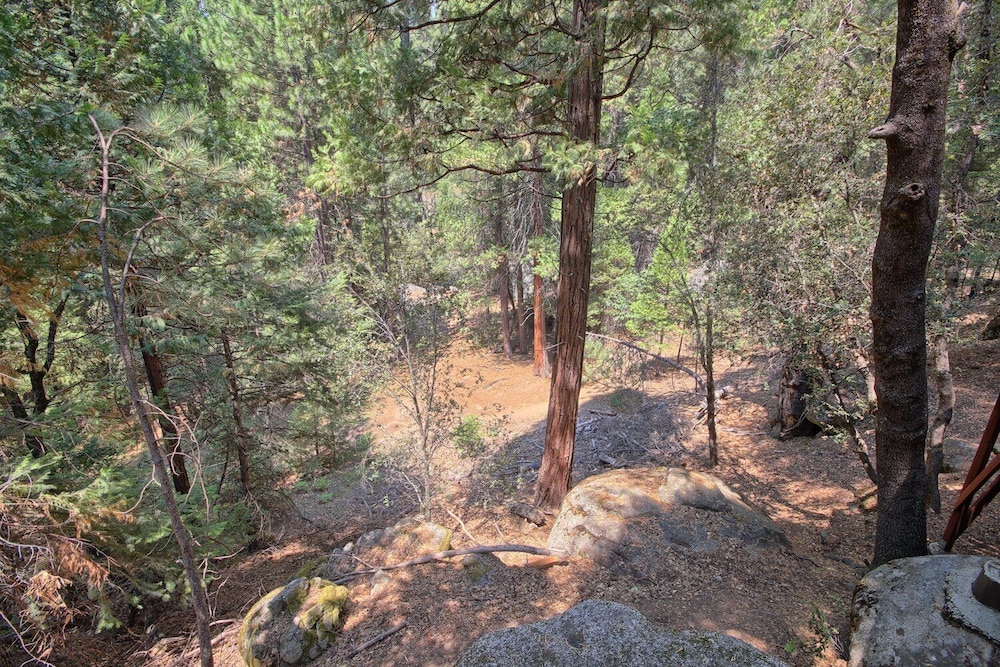 The Tree House