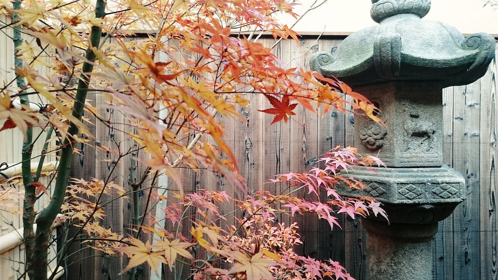 Guesthouse Bokuyado - Hostel