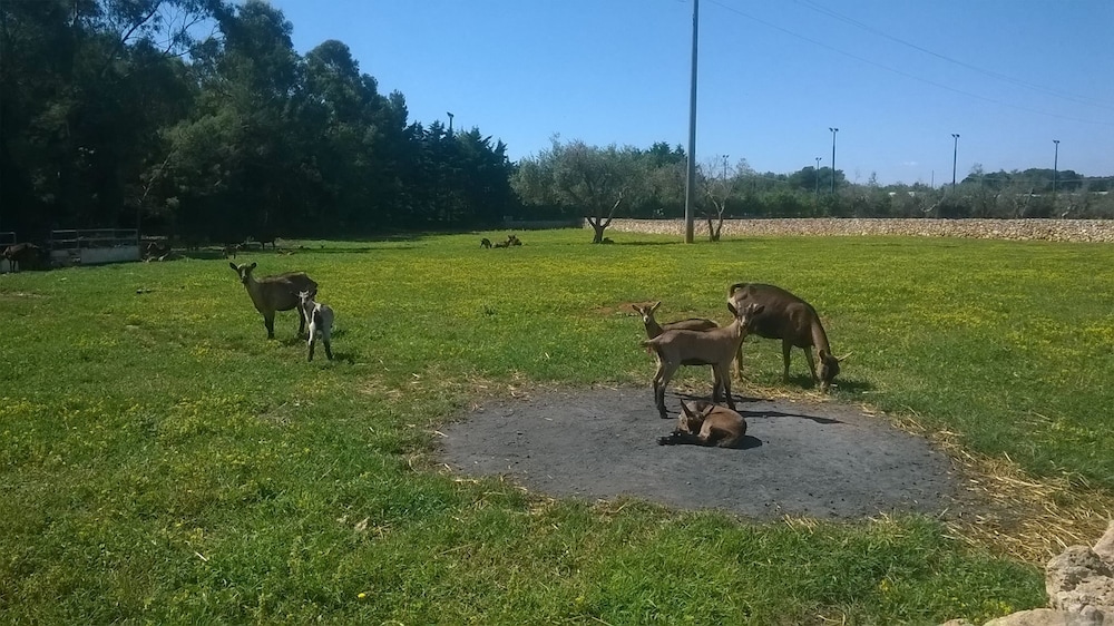 Il Venticello Agriturismo
