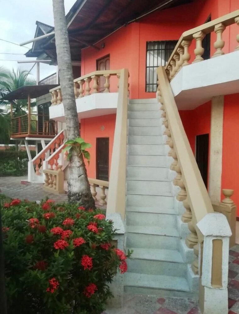 Las acacias Tolu