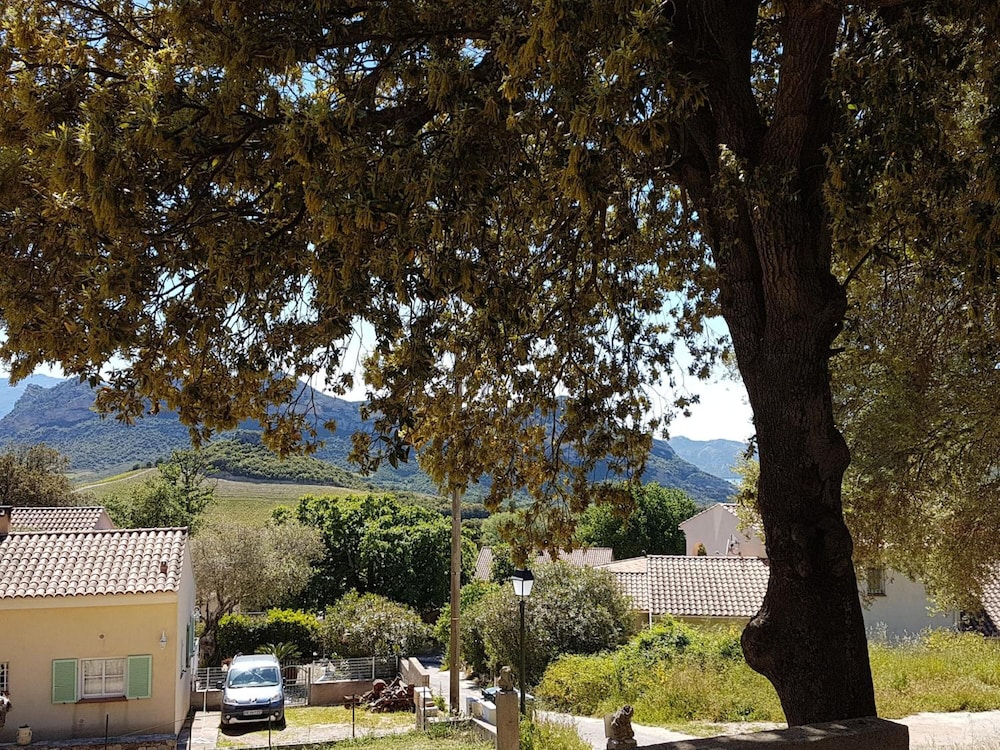 A Casa Di L'Alivu