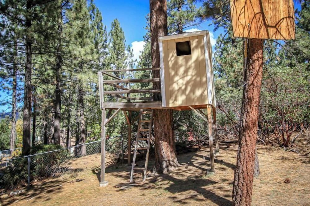 Family Fun House