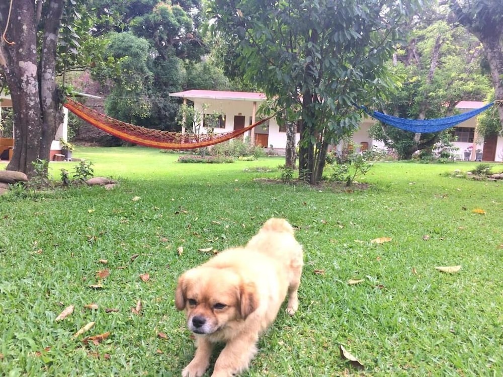 El Mangal