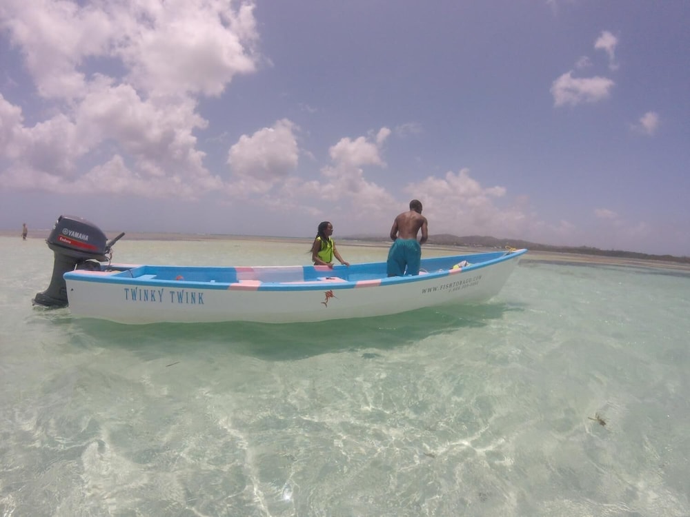 Angel Fish Cove