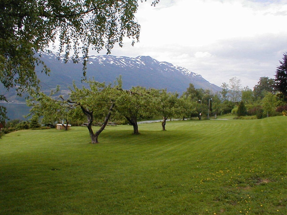 Photo 34