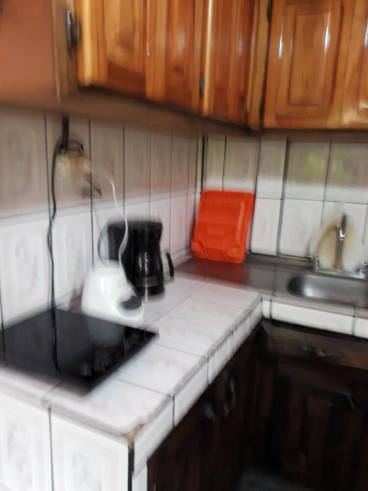 Arenal Volcano - Costa Rica Vacations - Sunset Inn Valle del Volcan - Property Image 41