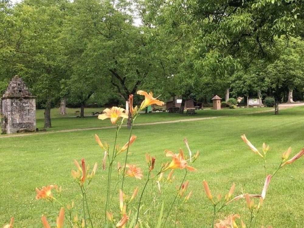 Photo 20