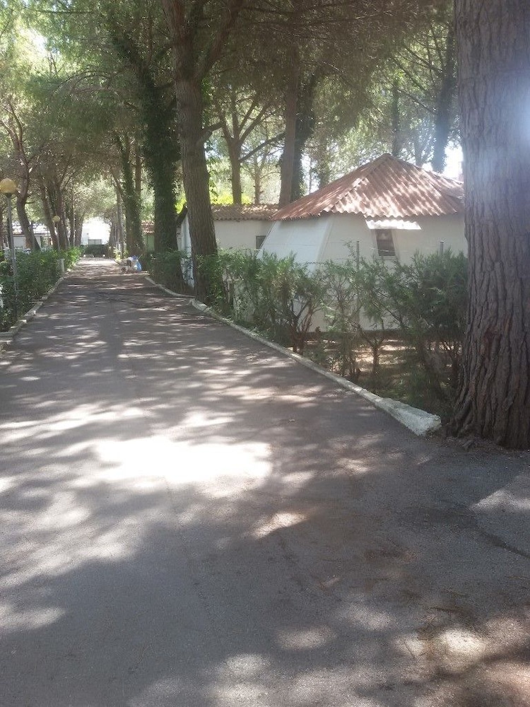 Parco delle Viole