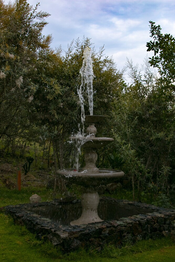 Photo 57