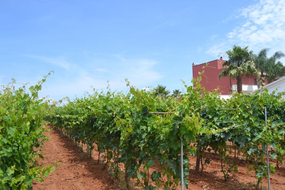 Tenuta Annibale